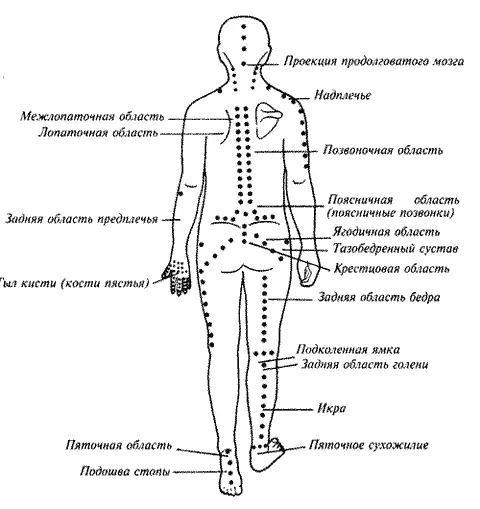 Схематическое изображение основных точек для надавливания на задней проверхности тела