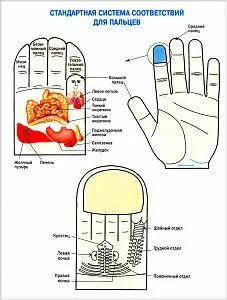 Система соответсвия пальцев руки
